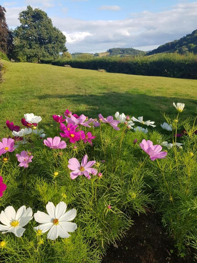 Eastwrey Barton Country House Lustleigh Экстерьер фото